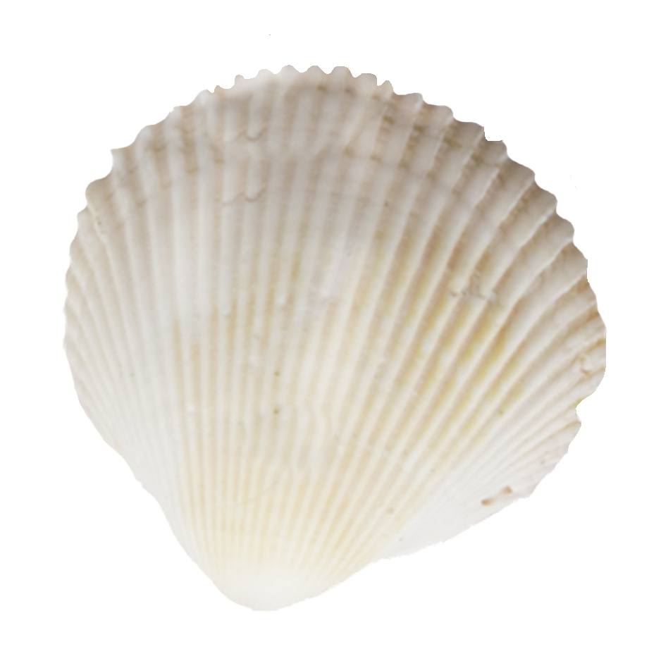 Кальций